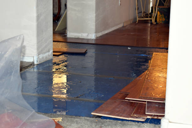 Professional Basement Flood Cleanup technician working in Rayville, LA